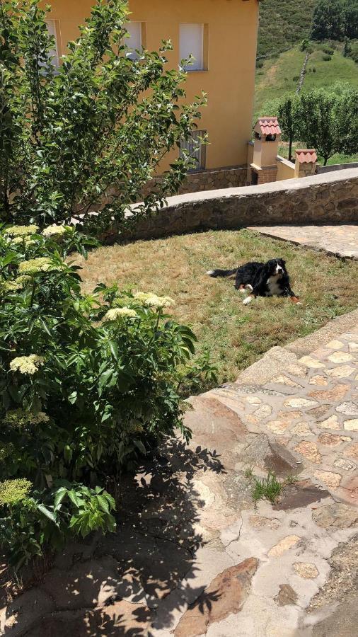 Casa Sierra De Gredos ξενώνας Navasequilla Εξωτερικό φωτογραφία