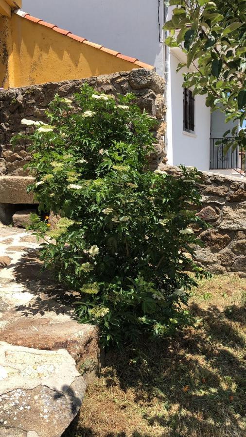 Casa Sierra De Gredos ξενώνας Navasequilla Εξωτερικό φωτογραφία