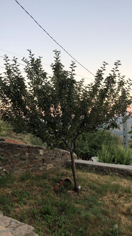 Casa Sierra De Gredos ξενώνας Navasequilla Εξωτερικό φωτογραφία